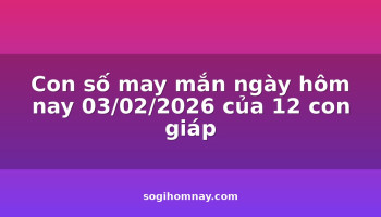 con-so-may-man-ngay-hom-nay-03022026-cua-12-con-giap