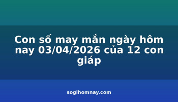 con-so-may-man-ngay-hom-nay-03042026-cua-12-con-giap