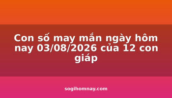 con-so-may-man-ngay-hom-nay-03082026-cua-12-con-giap