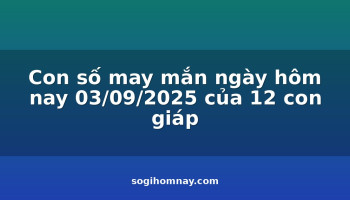 con-so-may-man-ngay-hom-nay-03092025-cua-12-con-giap