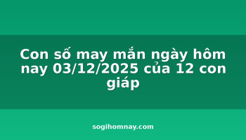 con-so-may-man-ngay-hom-nay-03122025-cua-12-con-giap