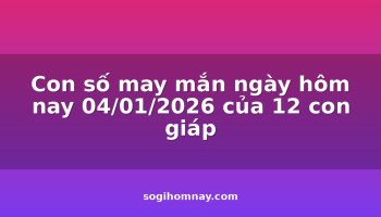 con-so-may-man-ngay-hom-nay-04012026-cua-12-con-giap