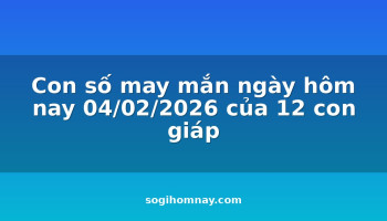 con-so-may-man-ngay-hom-nay-04022026-cua-12-con-giap