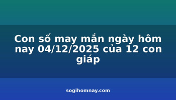 con-so-may-man-ngay-hom-nay-04122025-cua-12-con-giap