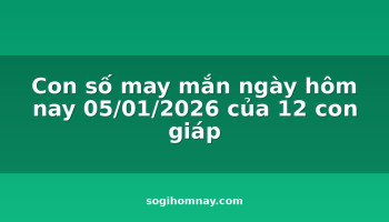 con-so-may-man-ngay-hom-nay-05012026-cua-12-con-giap