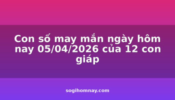 con-so-may-man-ngay-hom-nay-05042026-cua-12-con-giap