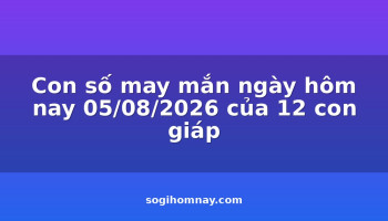 con-so-may-man-ngay-hom-nay-05082026-cua-12-con-giap