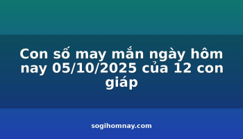 con-so-may-man-ngay-hom-nay-05102025-cua-12-con-giap