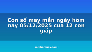 con-so-may-man-ngay-hom-nay-05122025-cua-12-con-giap