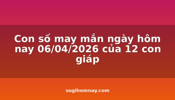 con-so-may-man-ngay-hom-nay-06042026-cua-12-con-giap