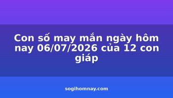 con-so-may-man-ngay-hom-nay-06072026-cua-12-con-giap