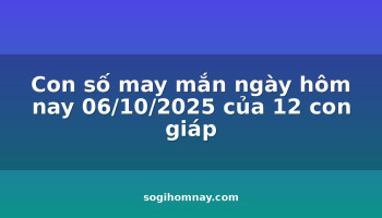 con-so-may-man-ngay-hom-nay-06102025-cua-12-con-giap