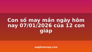 con-so-may-man-ngay-hom-nay-07012026-cua-12-con-giap