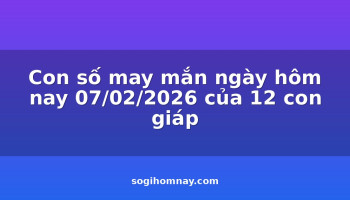 con-so-may-man-ngay-hom-nay-07022026-cua-12-con-giap