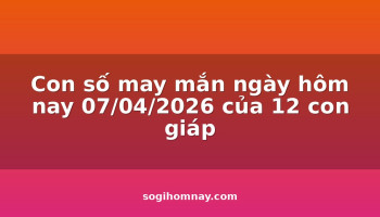 con-so-may-man-ngay-hom-nay-07042026-cua-12-con-giap