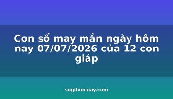 con-so-may-man-ngay-hom-nay-07072026-cua-12-con-giap