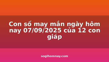 con-so-may-man-ngay-hom-nay-07092025-cua-12-con-giap