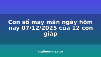 con-so-may-man-ngay-hom-nay-07122025-cua-12-con-giap