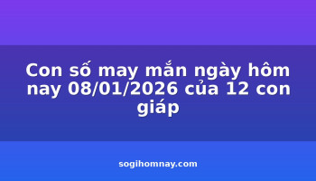 con-so-may-man-ngay-hom-nay-08012026-cua-12-con-giap