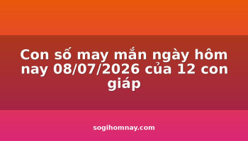 con-so-may-man-ngay-hom-nay-08072026-cua-12-con-giap