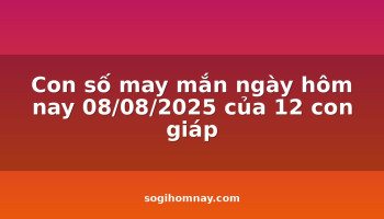con-so-may-man-ngay-hom-nay-08082025-cua-12-con-giap