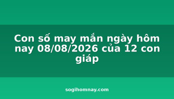 con-so-may-man-ngay-hom-nay-08082026-cua-12-con-giap