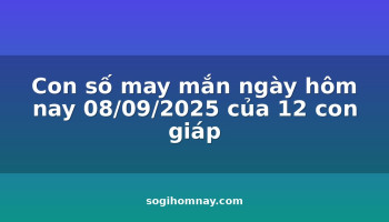 con-so-may-man-ngay-hom-nay-08092025-cua-12-con-giap