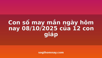 con-so-may-man-ngay-hom-nay-08102025-cua-12-con-giap