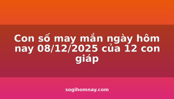con-so-may-man-ngay-hom-nay-08122025-cua-12-con-giap