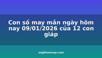 con-so-may-man-ngay-hom-nay-09012026-cua-12-con-giap