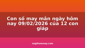 con-so-may-man-ngay-hom-nay-09022026-cua-12-con-giap