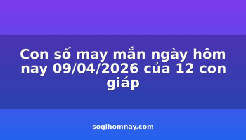 con-so-may-man-ngay-hom-nay-09042026-cua-12-con-giap