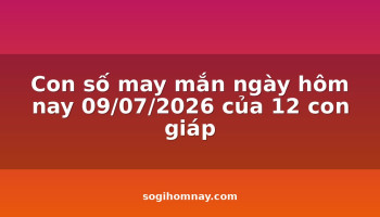 con-so-may-man-ngay-hom-nay-09072026-cua-12-con-giap