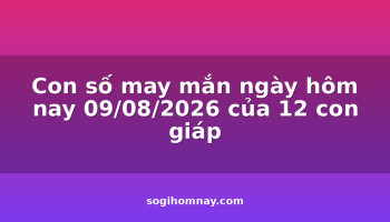 con-so-may-man-ngay-hom-nay-09082026-cua-12-con-giap