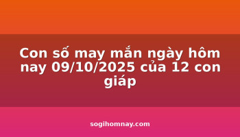 con-so-may-man-ngay-hom-nay-09102025-cua-12-con-giap