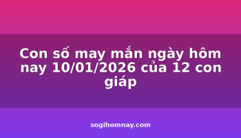 con-so-may-man-ngay-hom-nay-10012026-cua-12-con-giap