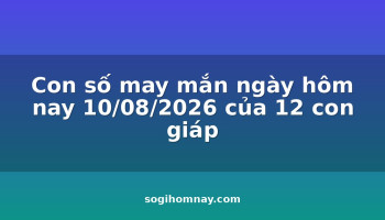 con-so-may-man-ngay-hom-nay-10082026-cua-12-con-giap