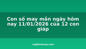 con-so-may-man-ngay-hom-nay-11012026-cua-12-con-giap