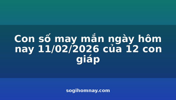 con-so-may-man-ngay-hom-nay-11022026-cua-12-con-giap