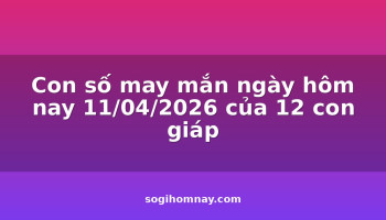 con-so-may-man-ngay-hom-nay-11042026-cua-12-con-giap