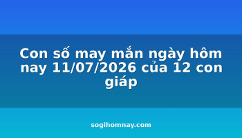 con-so-may-man-ngay-hom-nay-11072026-cua-12-con-giap