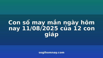 con-so-may-man-ngay-hom-nay-11082025-cua-12-con-giap