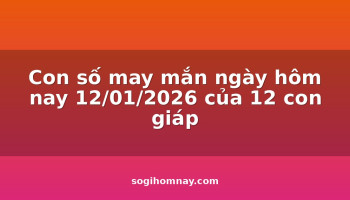 con-so-may-man-ngay-hom-nay-12012026-cua-12-con-giap