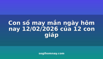 con-so-may-man-ngay-hom-nay-12022026-cua-12-con-giap