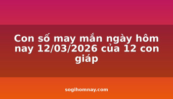 con-so-may-man-ngay-hom-nay-12032026-cua-12-con-giap
