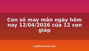 con-so-may-man-ngay-hom-nay-12042026-cua-12-con-giap