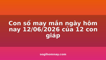con-so-may-man-ngay-hom-nay-12062026-cua-12-con-giap