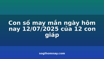 con-so-may-man-ngay-hom-nay-12072025-cua-12-con-giap
