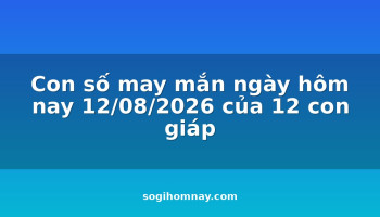 con-so-may-man-ngay-hom-nay-12082026-cua-12-con-giap