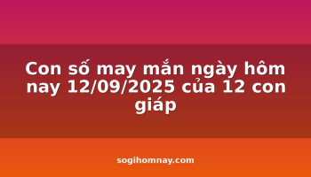 con-so-may-man-ngay-hom-nay-12092025-cua-12-con-giap